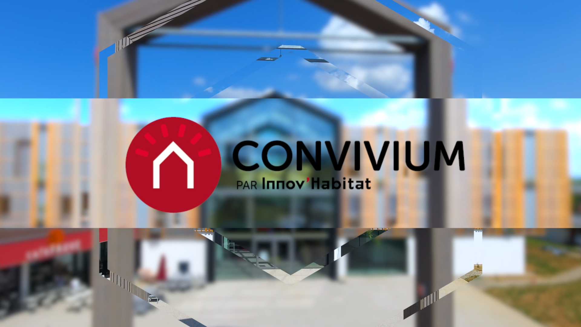 convivium-01